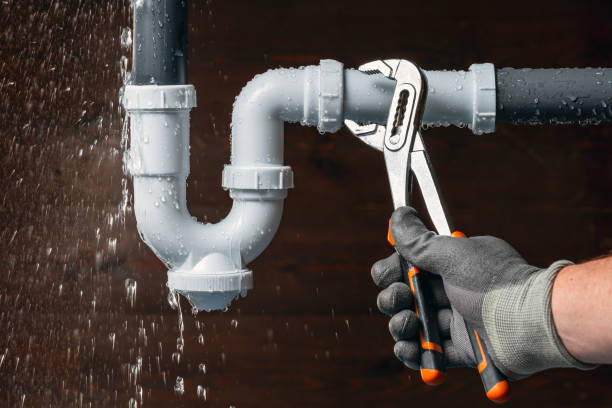 Professional Plumber technician working in Newark, IL